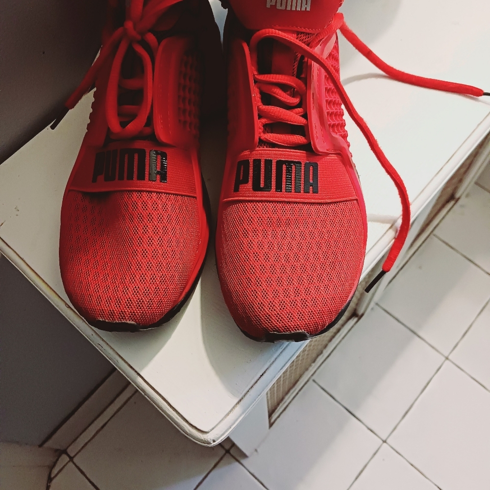 PUMA